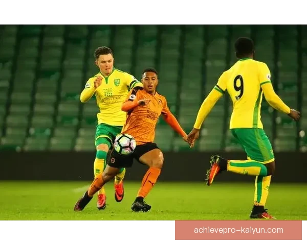 诺维奇黄绿风暴状态回暖，近期表现备受关注